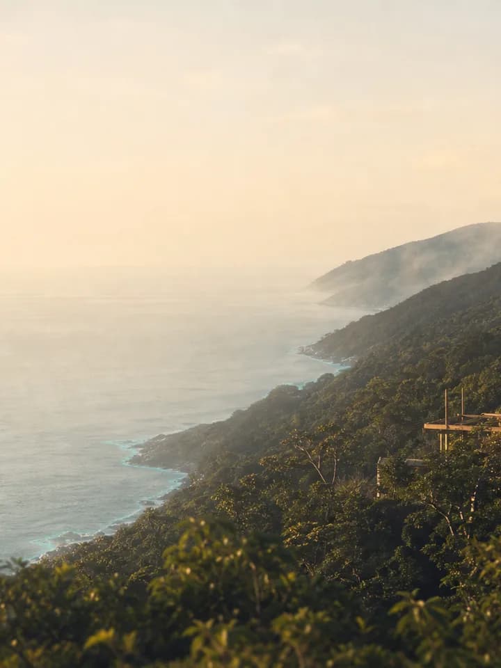 An illustrative coastal scene where Atlantic forest meets the ocean.
