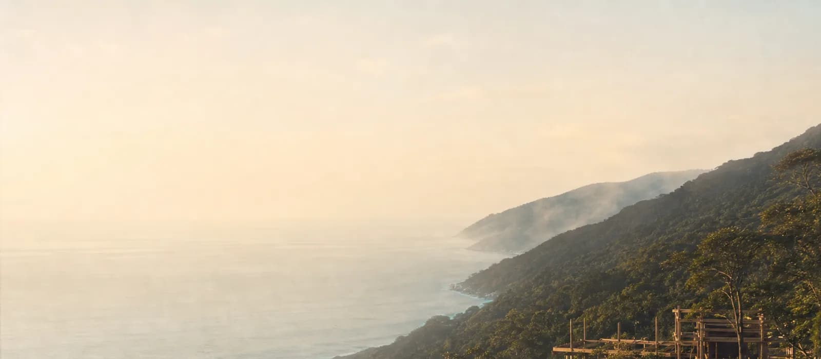 An illustrative coastal scene where Atlantic forest meets the ocean.