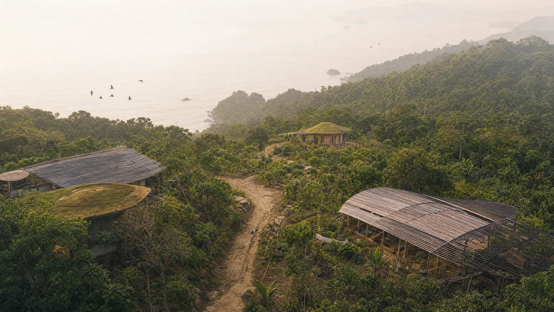 An illustrative aerial of a regenerative neighborhood being built in Atlantic forest above the ocean.